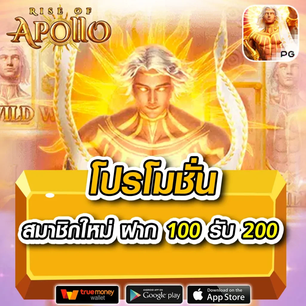 dung919 สมัครสมาชิก