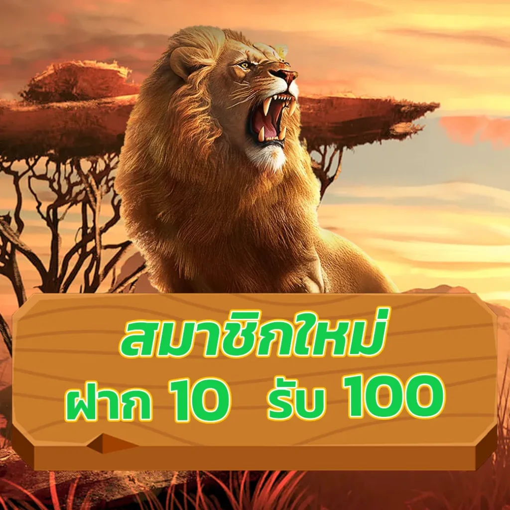 dung919 เข้าสู่ระบบ